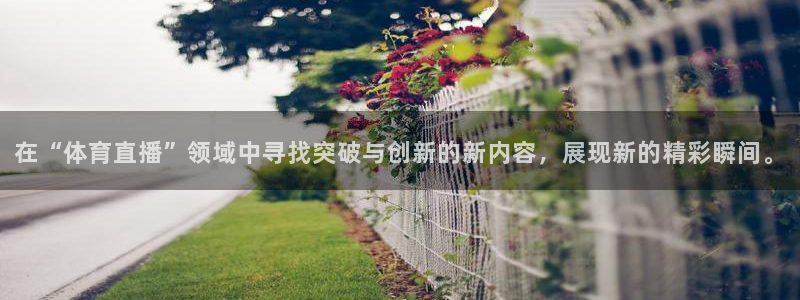 龙门体育视频直播：在“体育直播”领域中寻找突破与创新的新内容，展现新的精彩瞬间。