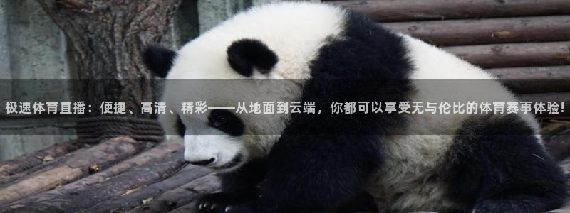 龙门足球直播：极速体育直播：便捷、高清、精彩——从地面到云端，你都可以享受无与伦比的体育赛事体验!