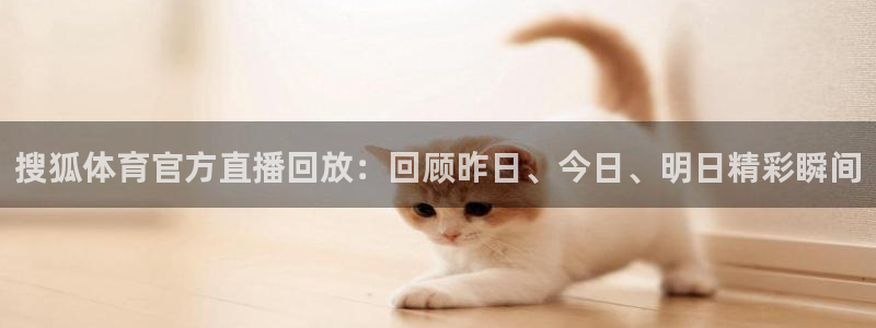 龙门nba免费直播：搜狐体育官方直播回放：回顾昨日、今日、明日精彩瞬间