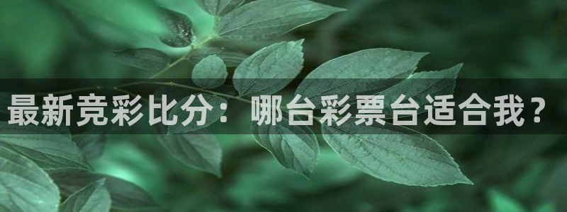 龙门nba直播：最新竞彩比分：哪台彩票台适合我？