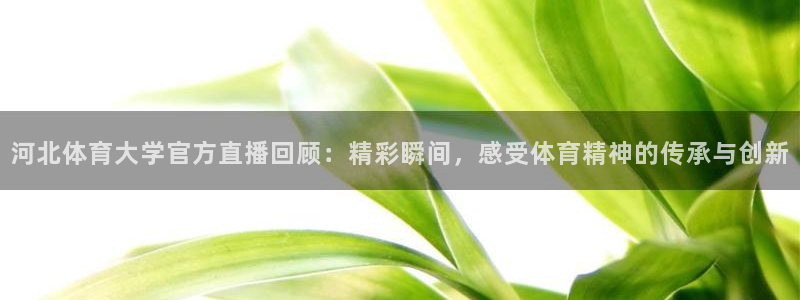 龙门在线直播nba：河北体育大学官方直播回顾：精彩瞬间，感受体育精神的传承与创新