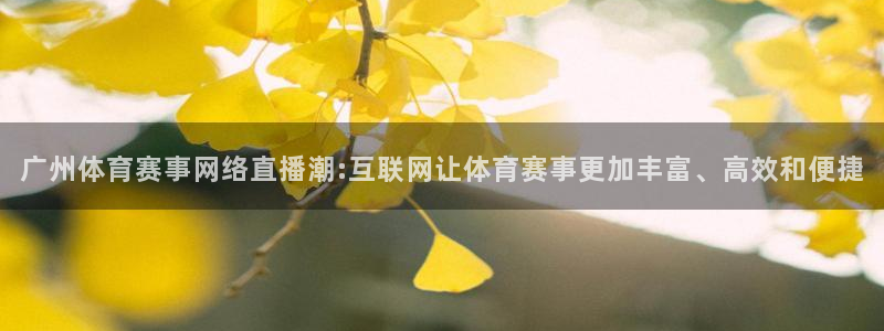 中超龙门直播：广州体育赛事网络直播潮:互联网让体育赛事更加丰富、高效和便捷