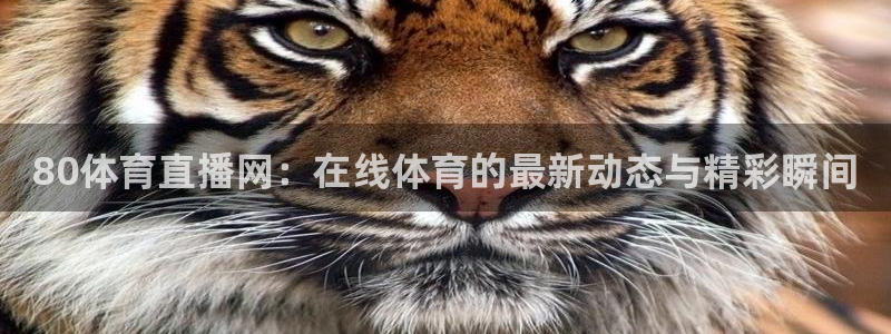 龙门直播官网：80体育直播网：在线体育的最新动态与精彩瞬间